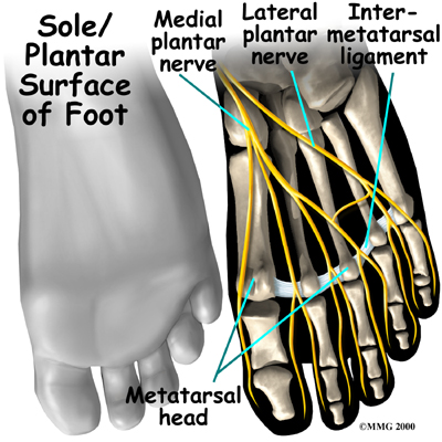 Medial plantar nerve pain big toe discount